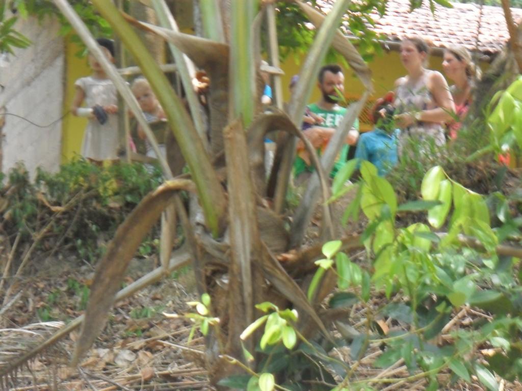 Lavendra Villa Mirissa Buitenkant foto